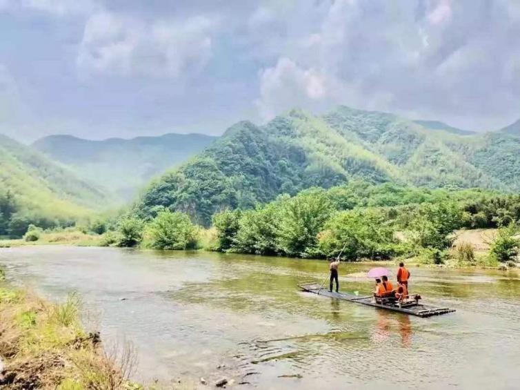 安徽省宁国市方塘乡青龙湾水库腹地,沿着浅浅的湾流,二千余亩红杉林