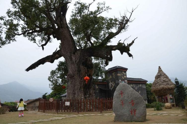 沿江堤坝是樟树市人民政府一项兼顾防洪抗旱又具备旅游观光的绝佳