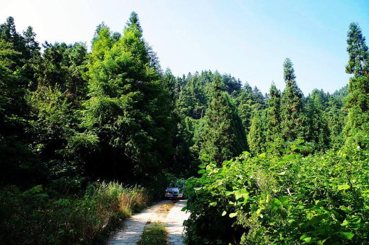 四,绿林山风景区