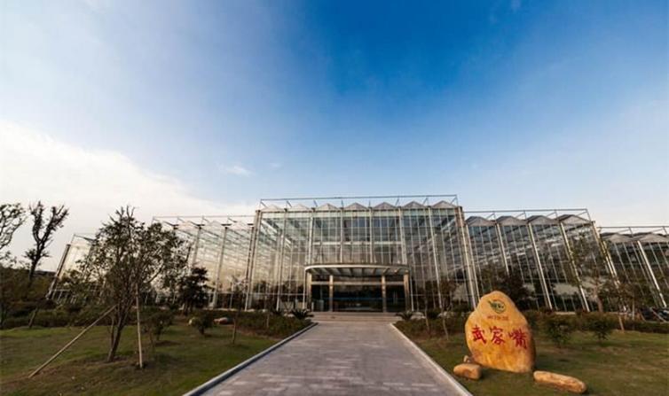 高淳周边这5个自驾游景点最值得一去,高淳出发自驾游最休闲景点攻略