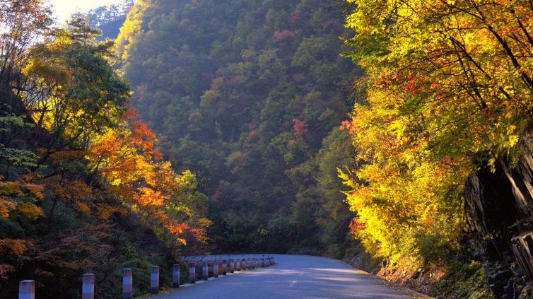 陕西最美自驾公路已承包了最美的秦岭秋色   一到秋季,s102山谷段公路