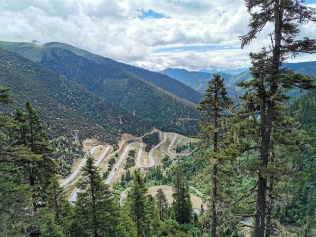 åªå­å¼¯å±±