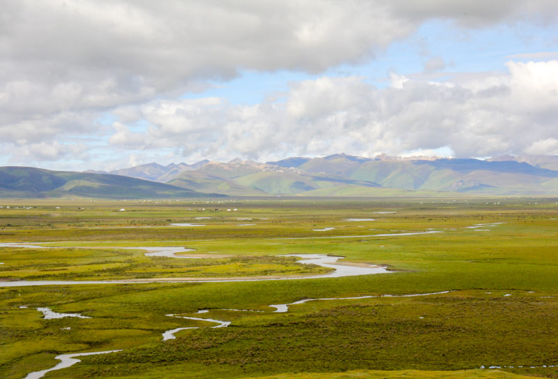 å·è¥¿çå¡ææ¸¸60 (19)