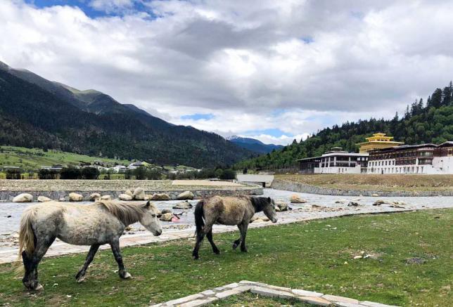 é²æææµ·-(3)