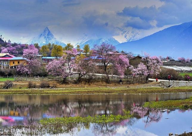 嘎朗湖的桃花美景