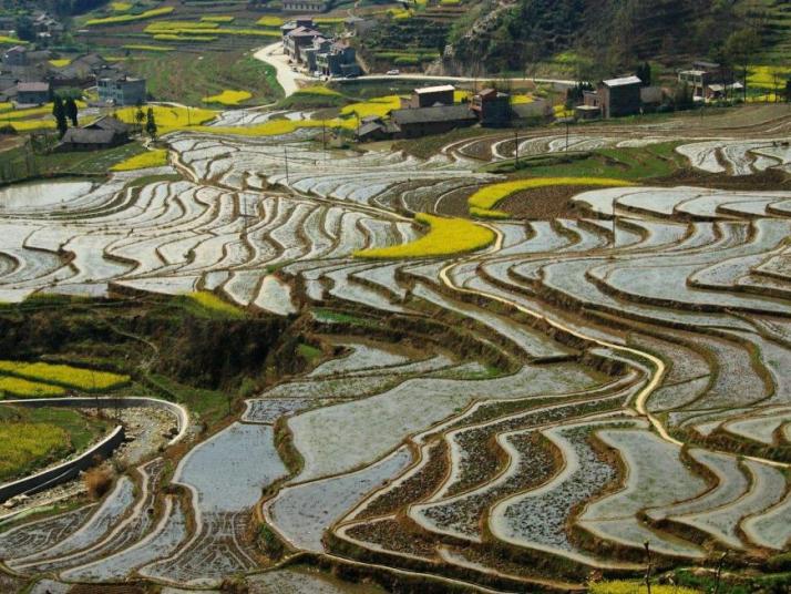 汉阴凤堰古梯田