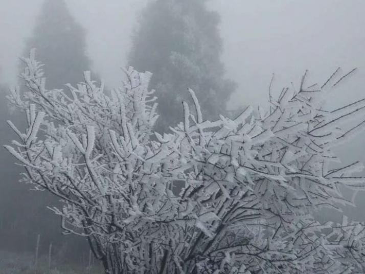 重慶金佛山