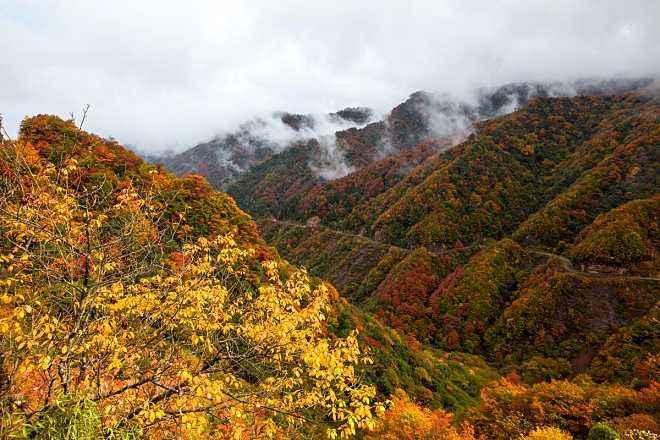 南江光雾山风景区好玩吗