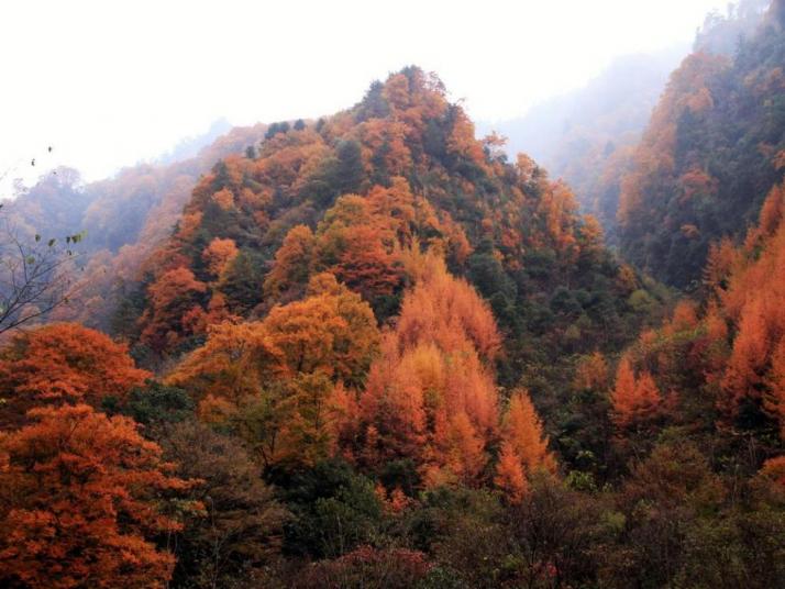 南江光雾山风景区图片