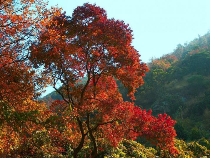 廣州石門國家森林公園