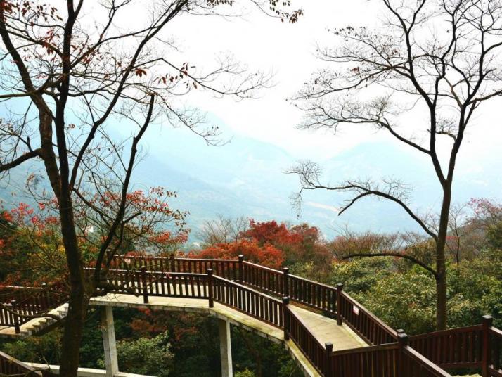 廣州石門國(guó)家森林公園圖片
