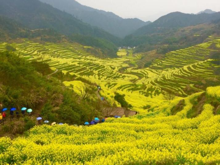 婺源篁岭村图片