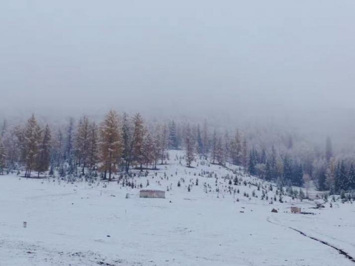 布爾津賈登峪