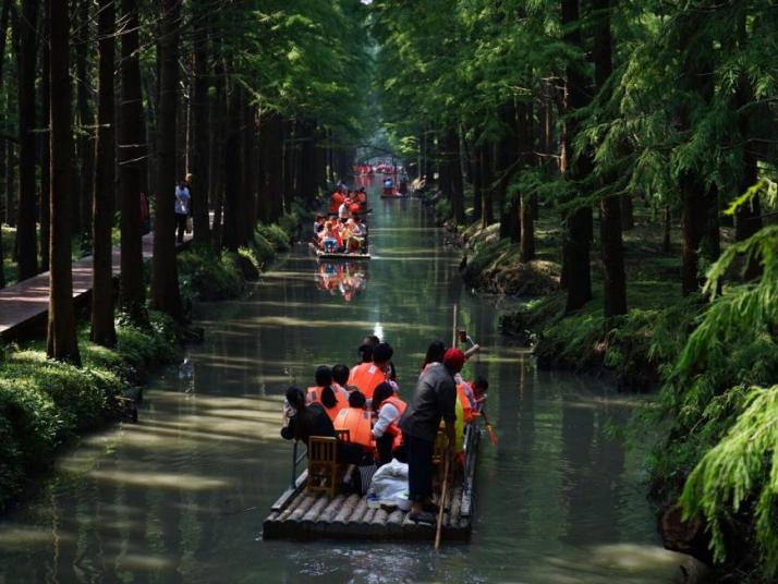 興化李中水上森林公園