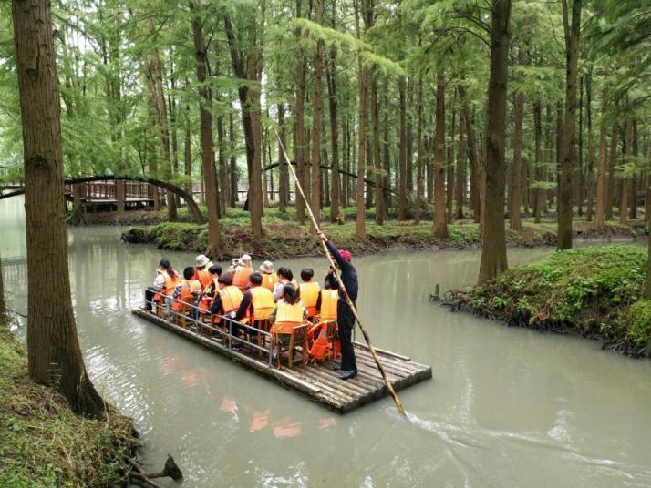 興化李中水上森林公園好玩嗎