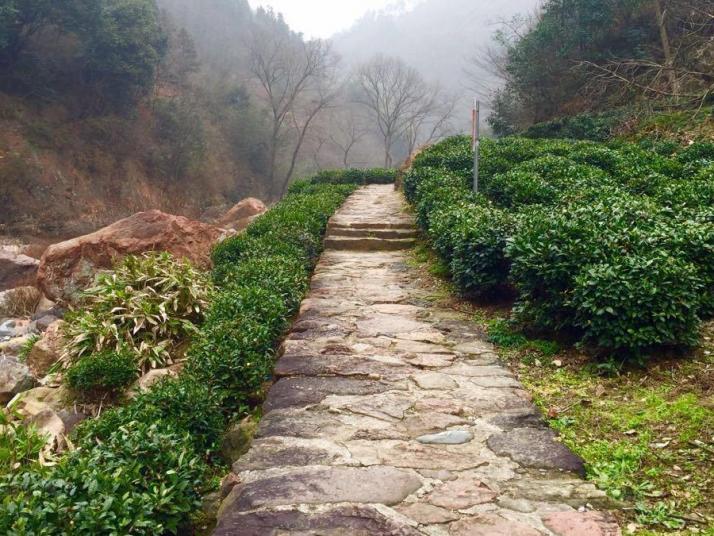 金寨红石谷风景区