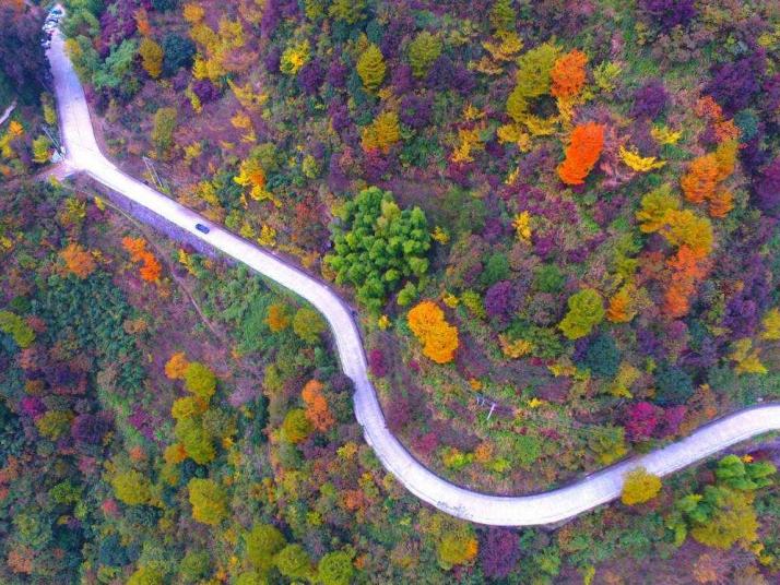 余姚四明山盤山公路好玩嗎