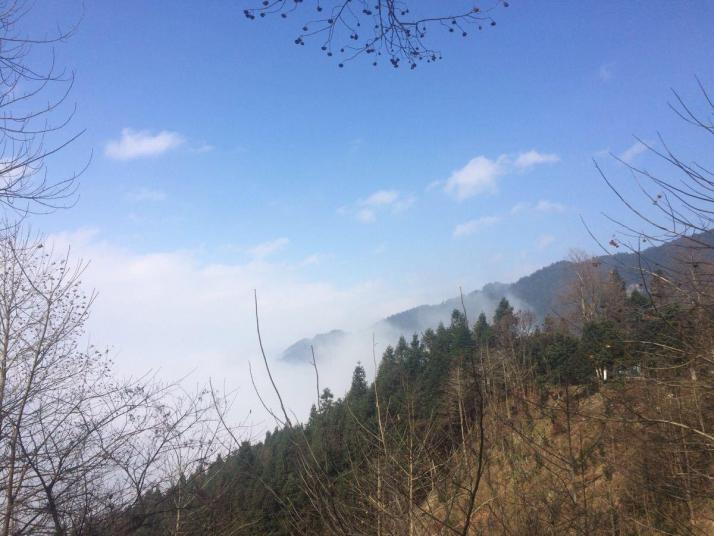 洪江雪峰山國家森林公園圖片