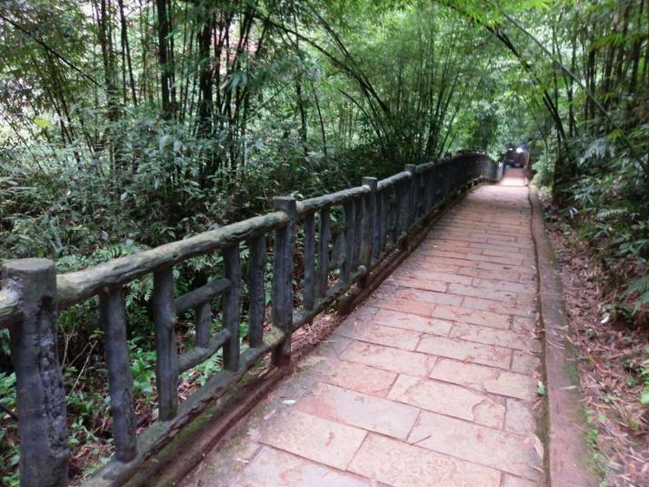 樂山沐川竹海圖片