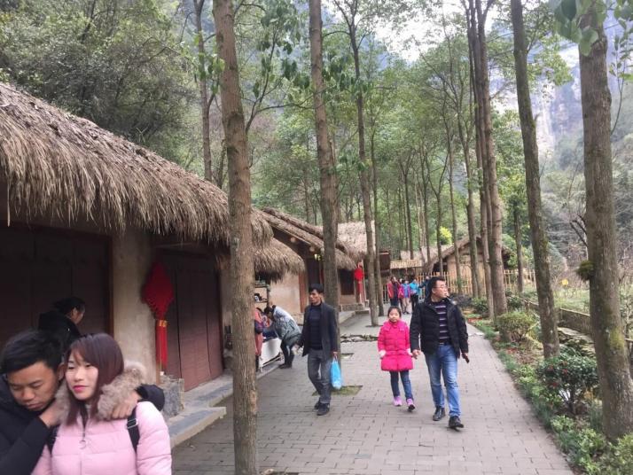 酉阳酉阳桃花源景区好玩吗