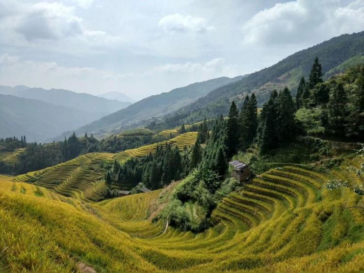 桂林龍脊梯田