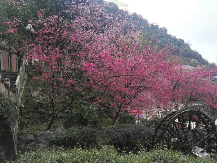 郴州王仙嶺旅游風景區(qū)好玩嗎