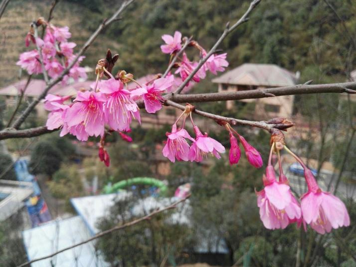 郴州王仙嶺旅游風景區(qū)圖片