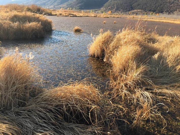 寧蒗瀘沽湖草海景區(qū)圖片