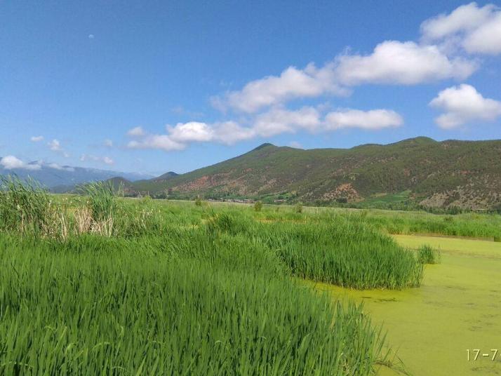 寧蒗瀘沽湖草海景區(qū)好玩嗎