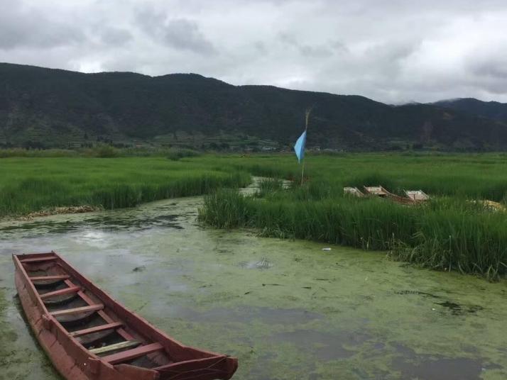 宁蒗泸沽湖草海景区