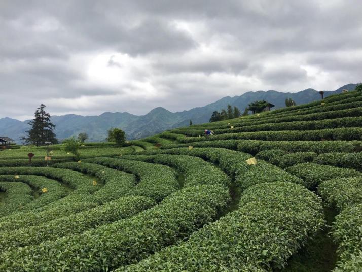 三江布央仙人景区好玩吗