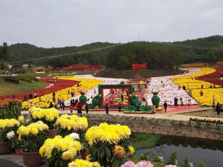 麻城五腦山森林公園