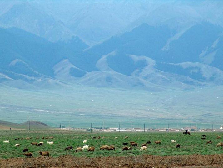 巴里坤巴里坤东天山风景区好玩吗