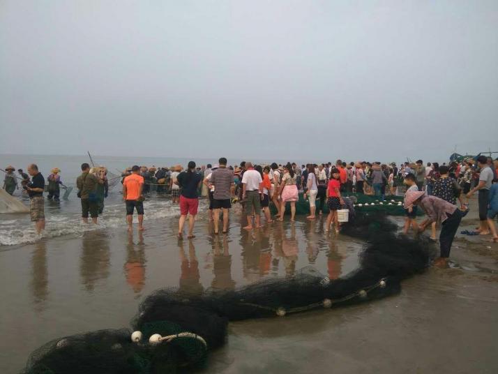 阳西蓝袍湾图片