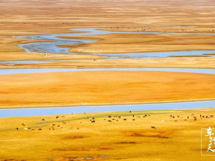 巴音郭楞巴音布魯克大草原