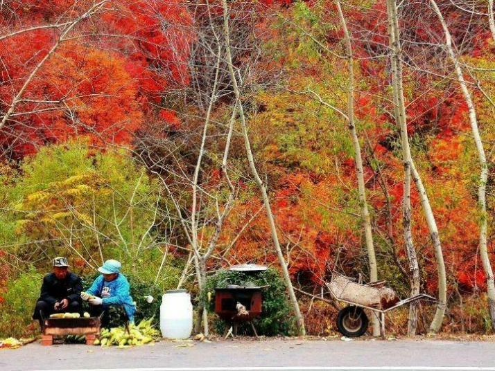 本溪本桓公路中华枫叶之路图片