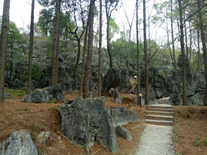 阳山神峰关生态旅游区好玩吗