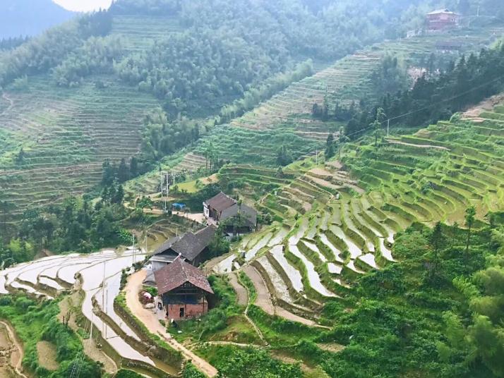 新化紫鹊界梯田图片
