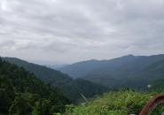 大容山國(guó)家森林公園自駕游