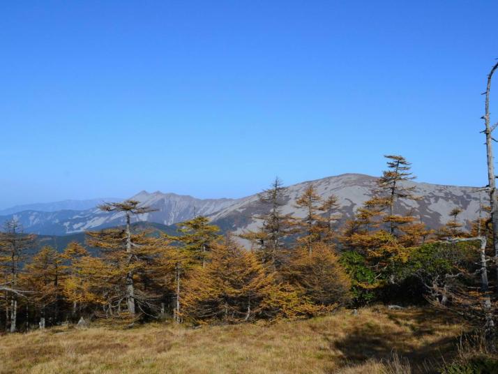 太白鳌山景区好玩吗