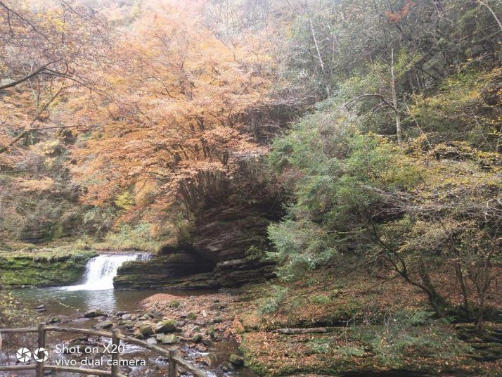 漢中黎坪森林公園好玩嗎