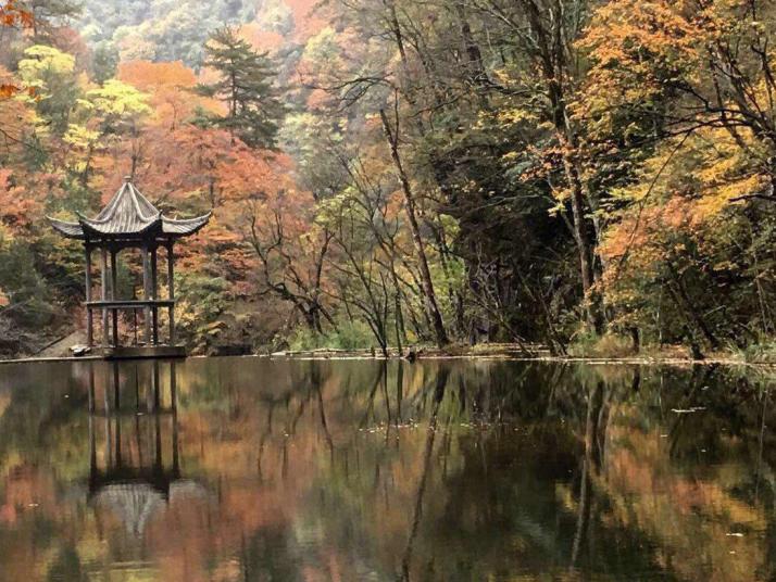 漢中黎坪森林公園圖片