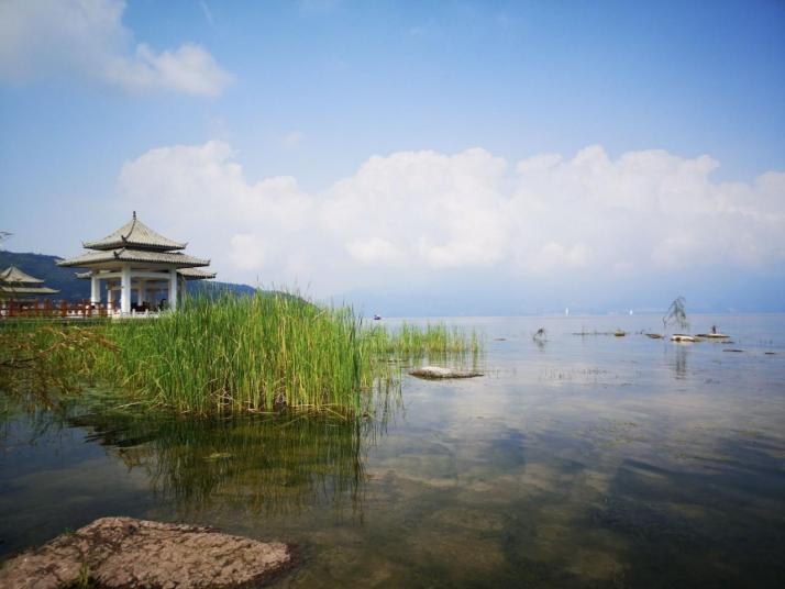 玉溪抚仙湖图片