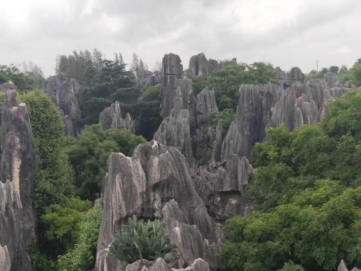 昆明石林國家地質(zhì)公園好玩嗎
