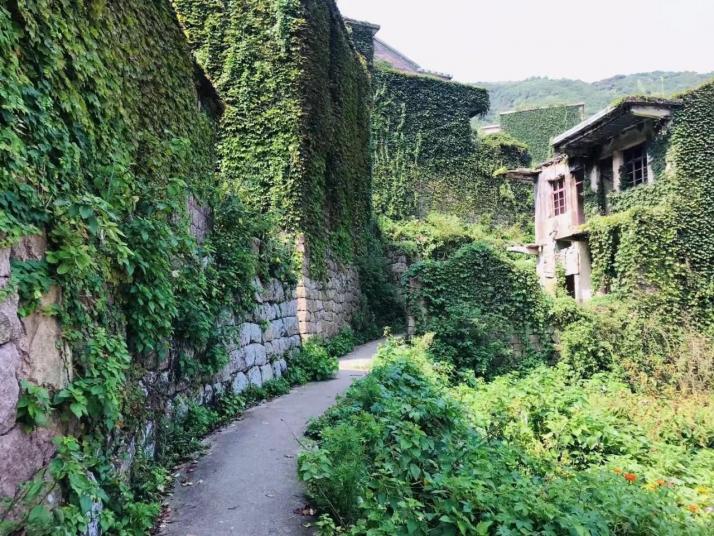 嵊泗后头湾村图片