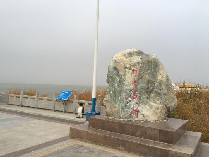 德令哈可鲁克湖图片