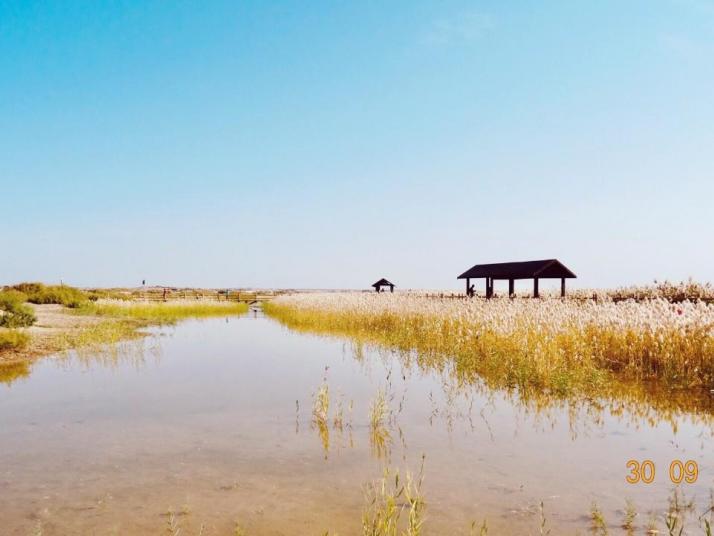 額濟(jì)納居延海