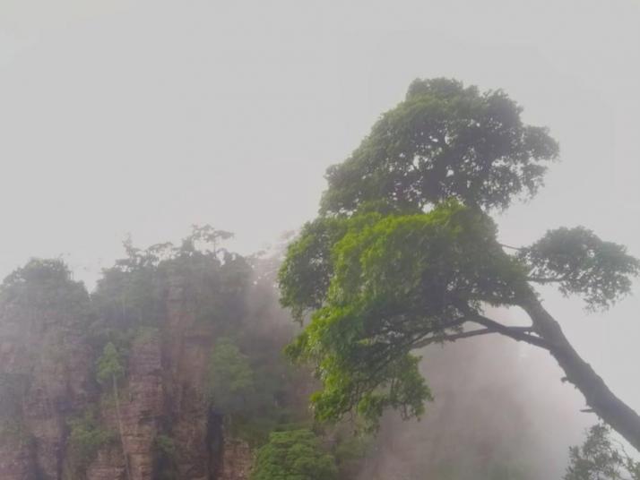 金秀圣堂山