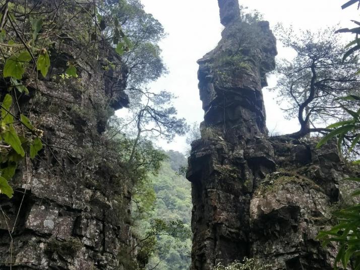 金秀金秀莲花山景区图片