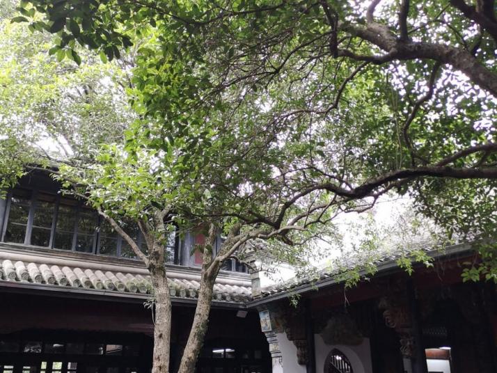 奉化蒋氏故居好玩吗